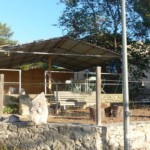 Pour les animations en extérieur.